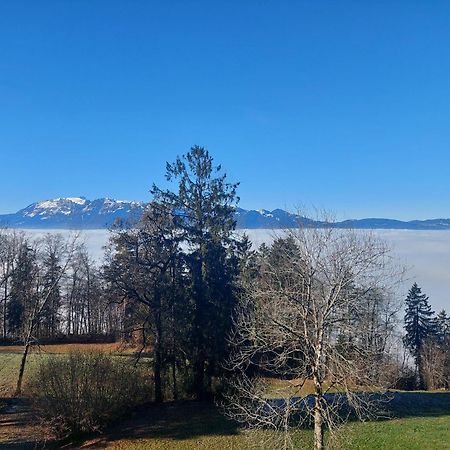 Gemuetliche Wohnung Mit Talblick Batschuns 外观 照片