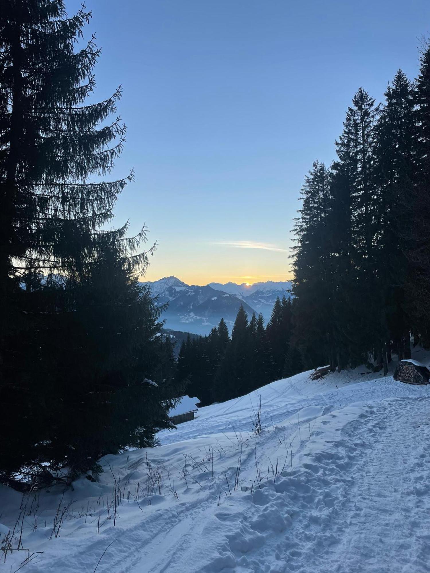 Gemuetliche Wohnung Mit Talblick Batschuns 外观 照片